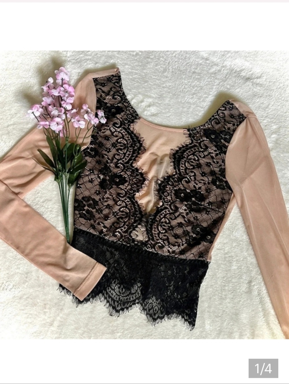 Contempo Lace & Mesh Long Sleeve Crop Top - XS